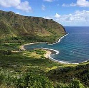 Surfing in Hawaii