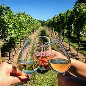 Wine Country Travel Tips