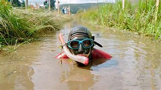 Finding the Best in the Snorkeling World