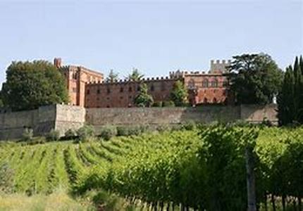 Wine Country Tours:  Your Travel Options