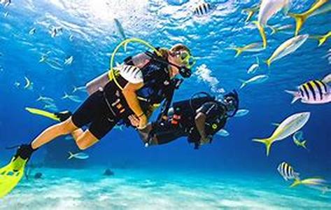 Scuba Diving Maui  Enveloped with a long stretch of emerald waters sated with an abundance of marine life, scuba diving Maui is more than just an experience