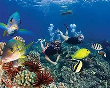 Belize Package Snorkeling