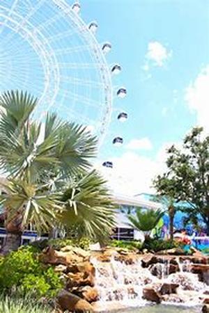 Hello From Orlando - Central Florida's Wildlife: An Abundance Of Diversity