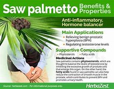 Saw Palmetto Overdose