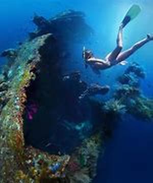 Scuba Diving On Grand Cayman