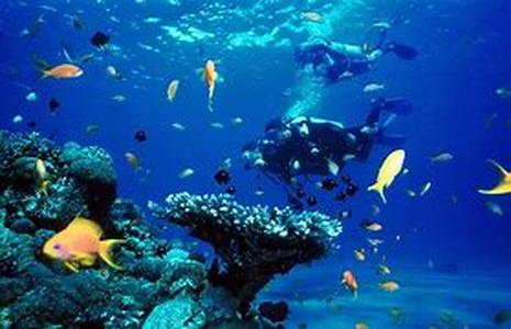 Scuba diving in  intensifies   is not only famous for its rich culture and history, but as time passes by, scuba diving in  has also gained recognition